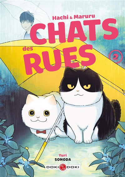 HACHI ET MARURU T02 -CHATS DES RUES