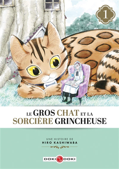 GROS CHAT ET LA SORCIERE GRINCHEUSE T01