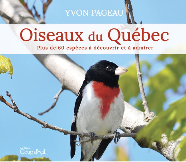 OISEAUX DU QUEBEC