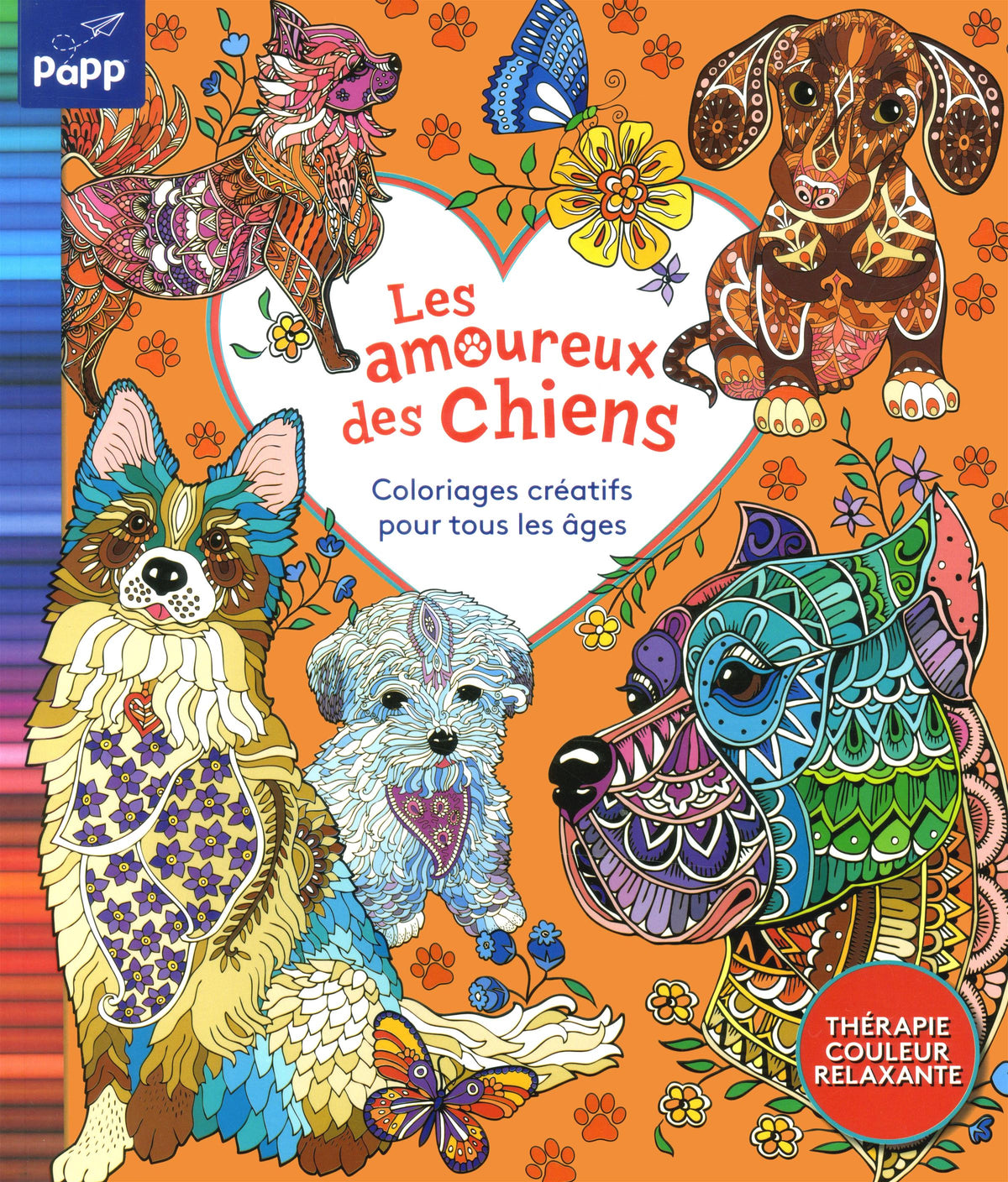 AMOUREUX DES CHIENS