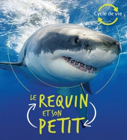 REQUIN ET SON PETIT