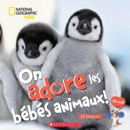 ON ADORE LES BEBES ANIMAUX